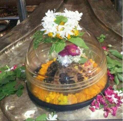 नशे के अवैध व्यापार को ध्वस्त करना हमारा कर्तव्य है – मुख्यमंत्री