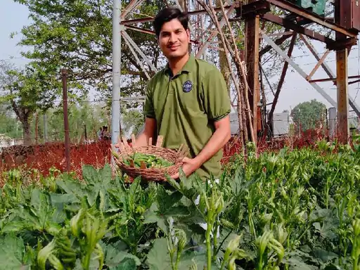 इंजीनियर फ्री में बांटता है सब्जियां:मकसद ये कि सभी जैविक खेती करने लगें