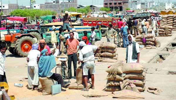 प्रदेश के 90000 किसान नहीं बेच पाएंगे समर्थन मूल्य पर धान