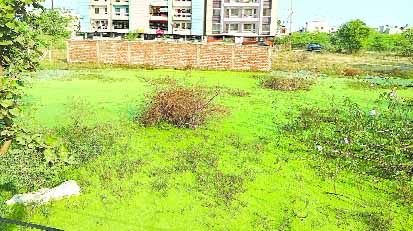 बाहर दिनों से ठंडी पड़ी खाली प्लॉटों के प्लॉट मालिक विरुद्ध कार्रवाई की मुहीम
