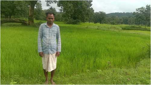 राज्य में कृषकों को बीहन लाख उपलब्ध कराने पर्याप्त प्रबंध