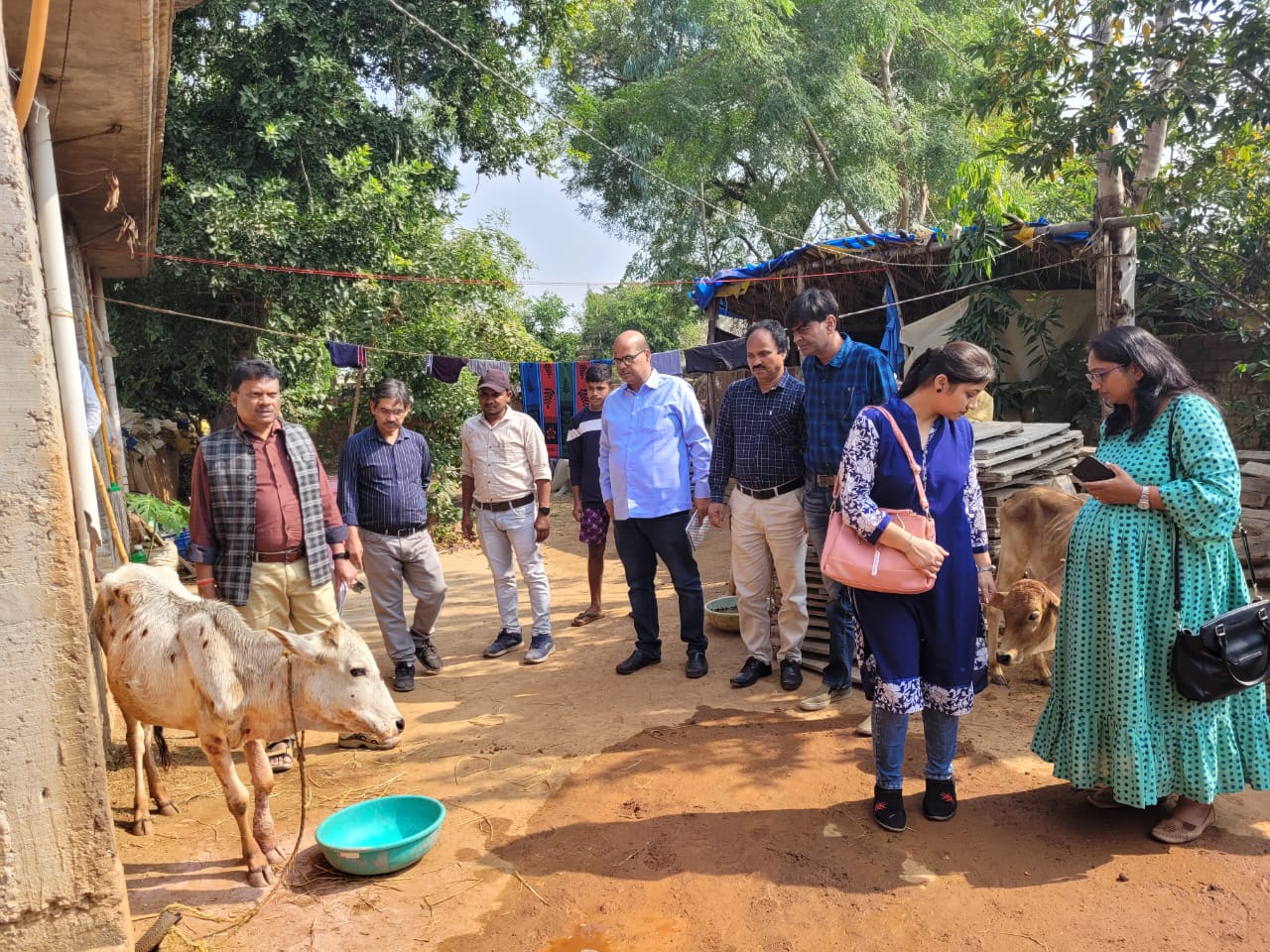 गांठदार त्वचा रोग नियंत्रण हेतु गठित सदस्यी टीम ने किया बेमेतरा क्षेत्र का भ्रमण