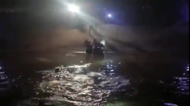 महंगे और जहरीले सांपों से अपना आलीशान बंगला सजाते हैं रईस, चौंकाने वाला खुलासा