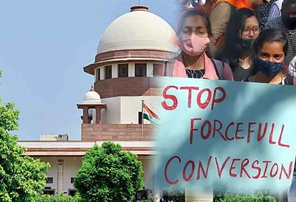 महंगे और जहरीले सांपों से अपना आलीशान बंगला सजाते हैं रईस, चौंकाने वाला खुलासा
