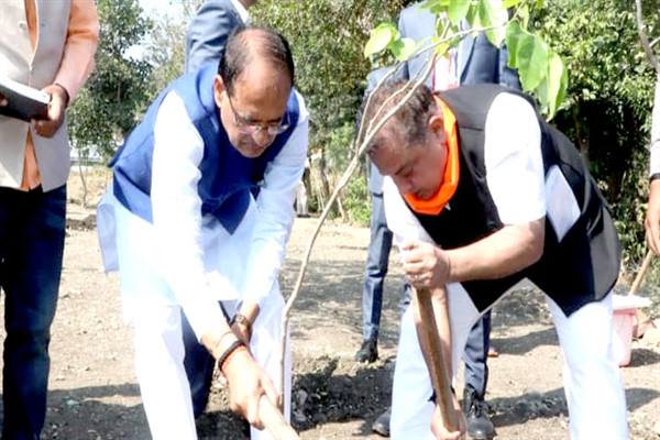 मुख्यमंत्री श्री चौहान द्वारा प्रतिदिन पौध-रोपण के 21 माह पूर्ण