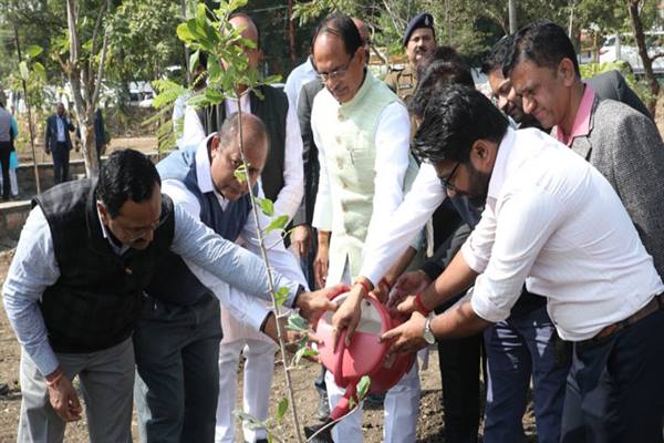 मुख्यमंत्री चौहान ने खिरनी, करंज और हरसिंगार के पौधे लगाए