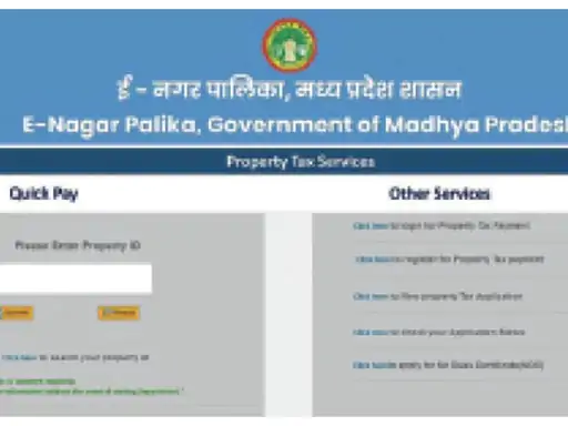 225 करोड़ से बना था ई-पोर्टल, सिर्फ दो सुविधाएं जोड़ने के लिए 200 करोड़ में नया पोर्टल लाएंगे