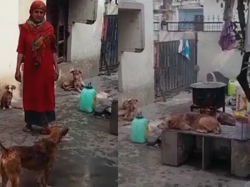 मेरे डॉग को छुआ तो हाथ काट लूंगी:कार्रवाई के लिए निगम की टीम पहुंची तो सांसद मेनका गांधी से की शिकायत