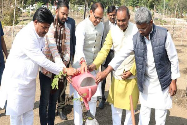 मुख्यमंत्री श्री चौहान ने लोक गीत की गूँज के बीच लगाए पौधे