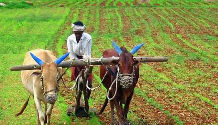 किसान सम्मान निधि के लाभ से 1.86 करोड़ किसान बाहर:आधार लिंक हुआ तो पता चला अपात्र थे
