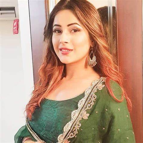 फैंस से मिलने के लिए देर तक रुकी रहीं शहनाज:स्ट्रैटिजी के तहत 10-10 लोगों को मिलने बुलाया, फिर फैंस पर लुटाया प्यार