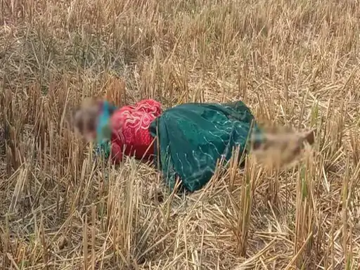 खेत में संदिग्ध हालत में पड़ा मिला महिला का शव:पास ही मिली कीटनाशक की बोतल