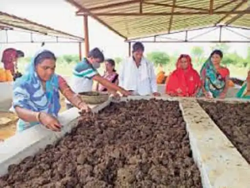 गोबर बेचने वालों को 4.62 करोड़ का भुगतान:इसमें 2.88 करोड़ रुपए गोठानों ने खुद की कमाई से दिए