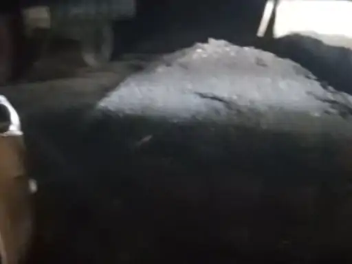 अवैध कोयला भंडारों पर ताबड़तोड़ छापा:40 टन कोयला, इलेक्ट्रॉनिक कांटा और दस्तावेज जब्त