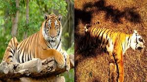 निर्वाचन में युवाओं की भागीदारी सबसे महत्वपूर्ण मुख्य निर्वाचन पदाधिकारी श्री राजन