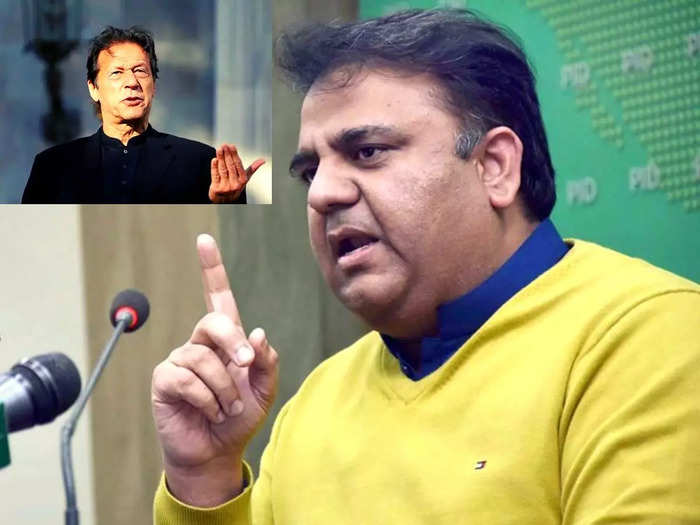 IND vs NZ: ‘लॉर्ड’ शार्दुल ने दो गेंदों में बदला खेल, जीत की तरफ बढ़ रही न्यूजीलैंड की टीम हुई चित