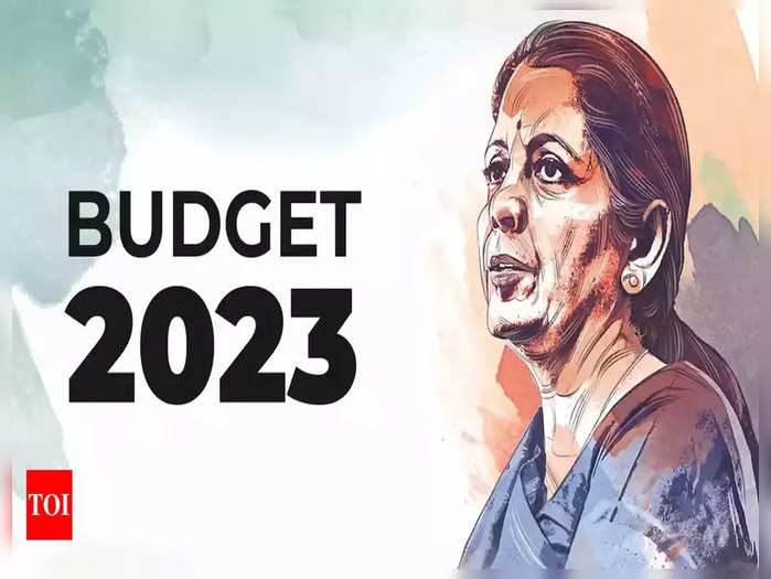 Budget-2023: आम नागरिक क्या चाहे निर्मला मैडम से