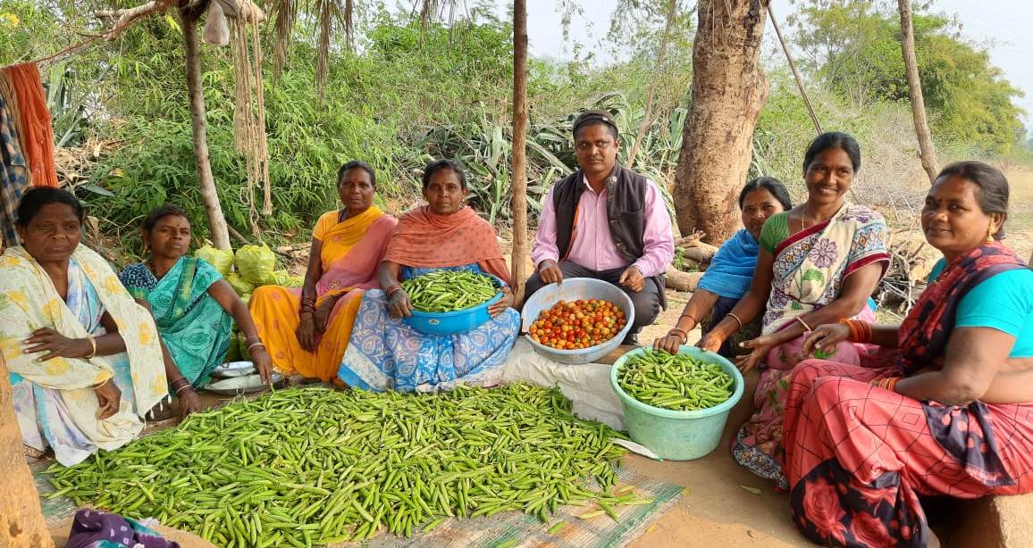 रायपुर: सबल हो रही समूह की महिलायें: उन्नत पद्धति से कर रहीं सब्जी और बीज उत्पादन