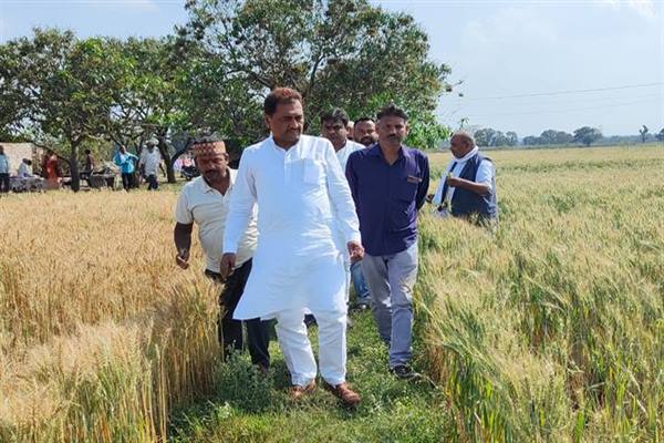 राज्य मंत्री श्री पटेल ने किया ओलावृष्टि प्रभावित फसलों का निरीक्षण
