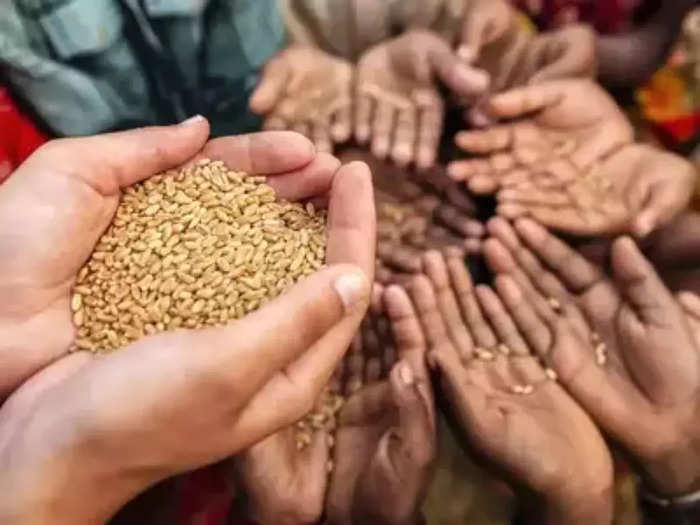 रूस से पाकिस्तान आया 40 हजार टन गेहूं चोरी, 67 वरिष्ठ सरकारी अधिकारी हुए निलंबित