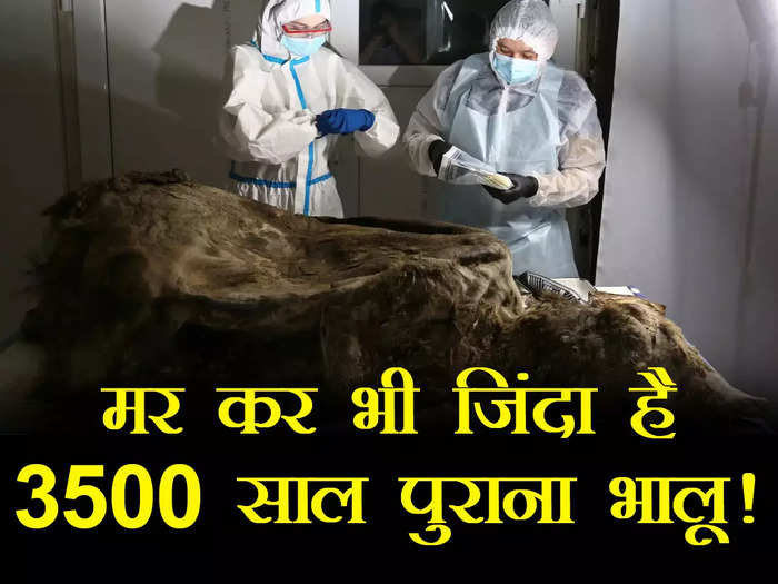 प्लेन बनाने वाली दुनिया की सबसे बड़ी कंपनी एयरबस या बोइंग, कौन है उसका मालिक