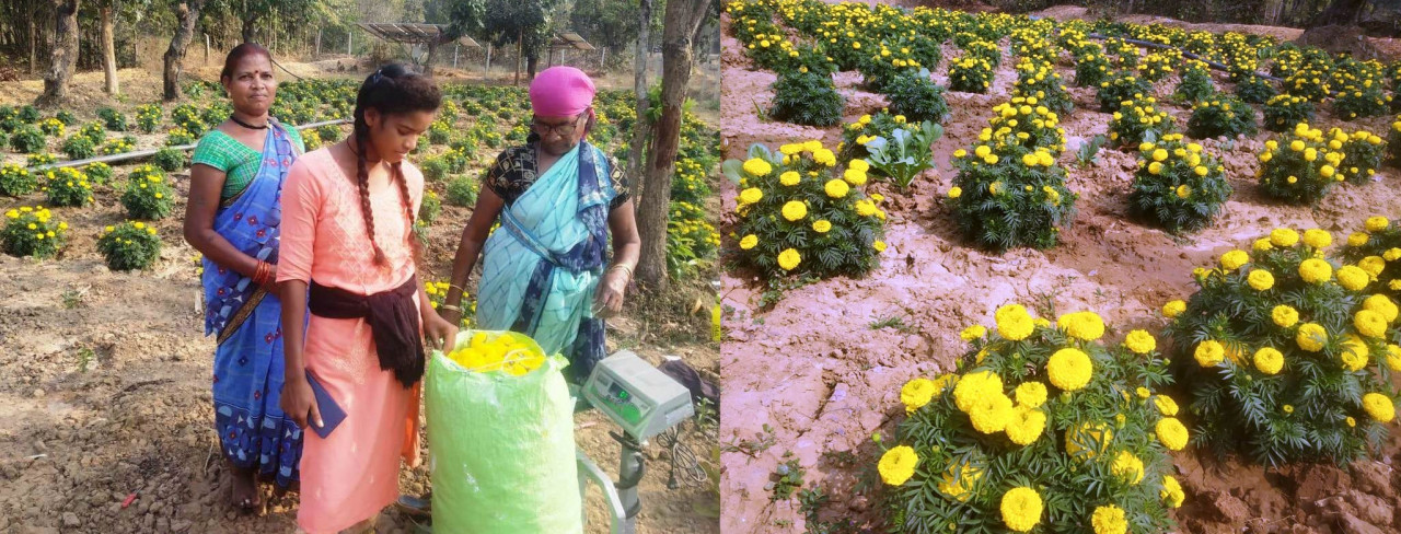रायपुर: फूलों की खेती से महका महिलाओं का जीवन