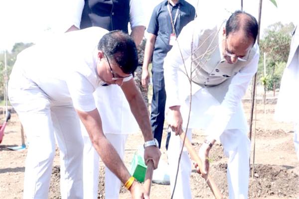 मुख्यमंत्री श्री चौहान ने लगाए नीम, आँवला और अमरूद के पौधे