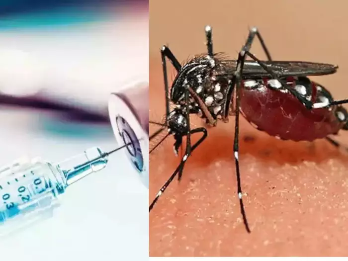 डेंगू के टीके पर ICMR ने दे दी अपडेट, क्यों हो रही देरी? सब जानिए