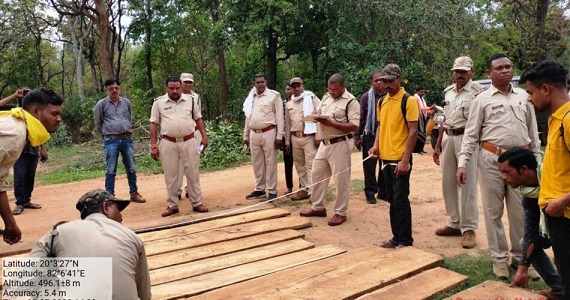 वन विभाग की कार्रवाई:सागौन, साल के चिरान और पल्ला जब्त