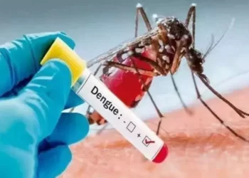 Sitapur: Dengue becoming