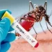 Sitapur: Dengue becoming