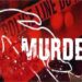 Young man was murdered by spea