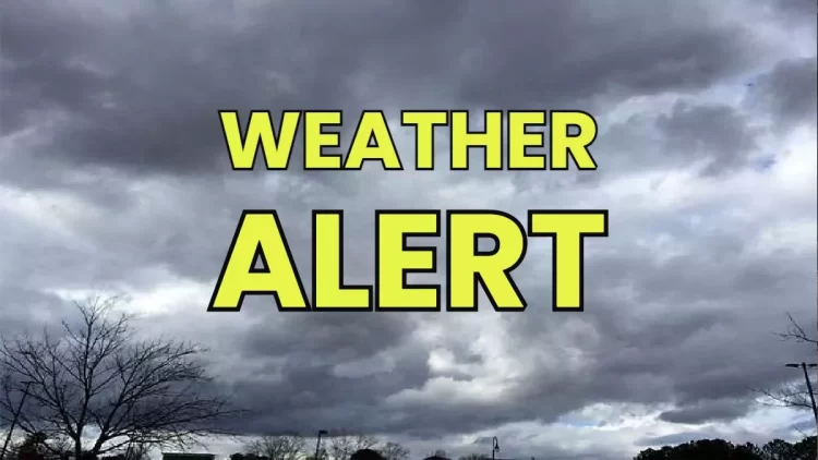 nainital-weather-heavy-rain-wreaks-in-district