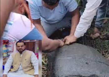 बोरे से बरामद हुआ लापता BSP के पूर्व अध्यक्ष का शव, परिजनों में मचा कोहराम