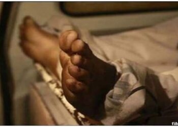 बदमाशों ने पुलिस से भागने के चक्‍कर में तेज रफ्तार स्‍कार्पियो से बैरियर तोड़ा, सिपाही की मौत; बिहार बार्डर के पास हुई वारदात