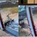 यूपी: मुरादाबाद में स्कूल के अंदर वैन ने LKG की छात्रा को कुचला, CCTV में कैद हुई खौफनाक घटना