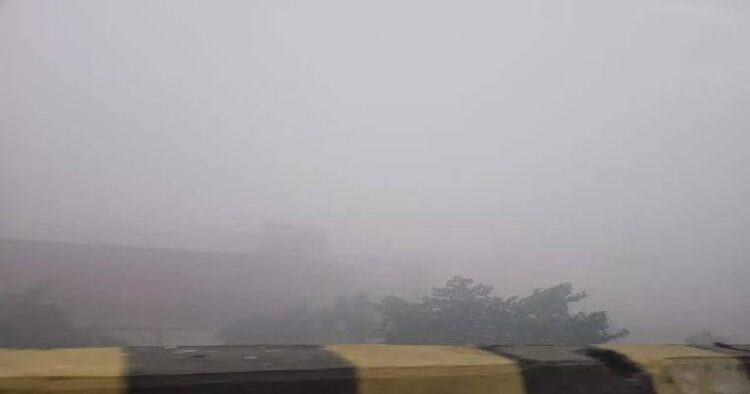 यूपी के तराई ज‍िलों में कोहरे के साथ ठंड की दस्‍तक, कानपुर-लखनऊ सह‍ित कई ज‍िलों में तेजी से ग‍िरेगा पारा
