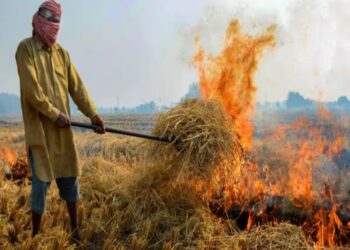 यूपी में वायु प्रदूषण पर लगाम लगाने के ल‍िए पराली जलाने की घटनाओं पर अलर्ट मोड पर योगी सरकार