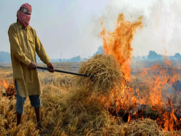 यूपी में वायु प्रदूषण पर लगाम लगाने के लिए पराली जलाने की घटनाओं पर अलर्ट मोड पर योगी सरकार