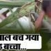 आवाज आने पर खोली बोरी तो निकला बच्चा, बाप-बेटे ने किया था 2 बच्चों का अपहरण, देर हो जाती तो…