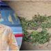 लाश दफनाकर 15 दिन तक कब्र पर रोना; जिंदा हो जाएगा बेटा, और फिर…