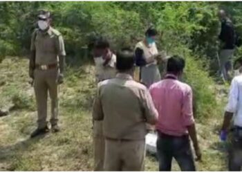 हमीरपुर: 23 दिन पहले लापता हुई बच्ची, तलाश में जुटी 11 थानों की पुलिस, अब आवारा डॉग ने खोज निकाला शव