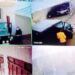 UP: जमीनी विवाद में ट्रिपल मर्डर से दहला लखनऊ, दबंगों ने एक ही परिवार के 3 लोगों को मारी गोली
