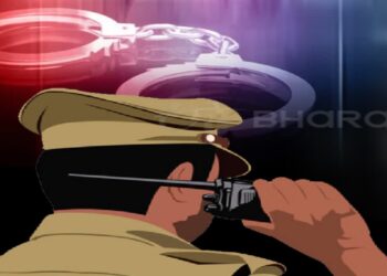 फर्नीचर मार्ट से चंदन का पेड़ काट ले गया चोर, पुलिस ने किया गिरफ्तार