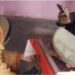 पुलिस चौकी में दरोगा ने महिला को जमीन पर बैठाया, अभद्रता करते हुए बोला-‘आवाज न आए, जेल भेज दूंगा’, VIDEO वायरल