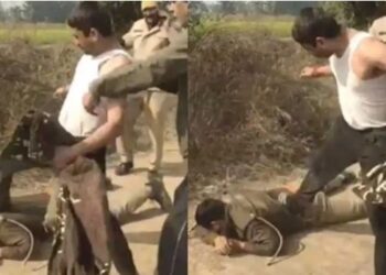 सिपाही को सड़क पर गिराया, लात-घूंसे से मारा; बागपत में नशेबाज युवकों दबंगई का Video