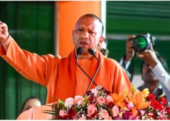 वो पहलवान है…जुमे की नमाज पर संभल CO अनुज चौधरी को CM योगी का समर्थन