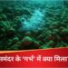 गहरे समुद्र में डार्क ऑक्सीजन पर वैज्ञानिक बंटे, जीवन की उत्पत्ति को लेकर ऑक्सीजन के सवाल पर डिबेट