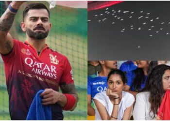 विराट कोहली को सम्मान देने पहुंचा कबूतरों का झुंड, नजारा देखकर सभी हैरान; वीडियो वायरल