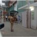 ग्रेटर नोएडा में बड़ा हादसा, बेसमेंट की दीवार गिरने से 5 मजदूर दबे; 3 की मौत